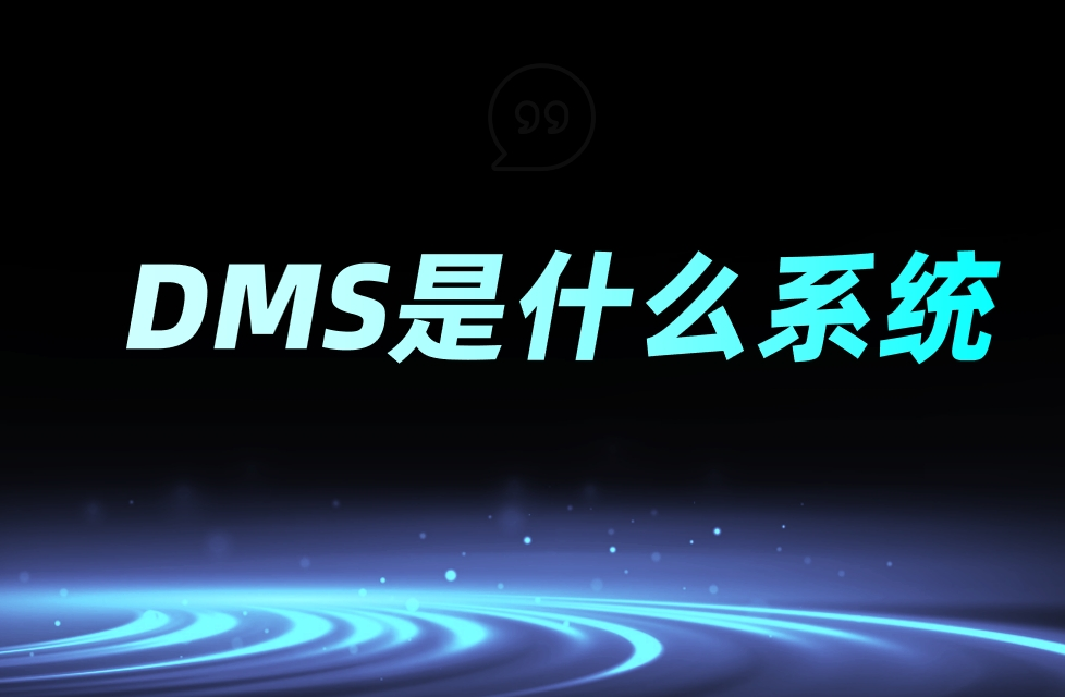 DMS是什么系统